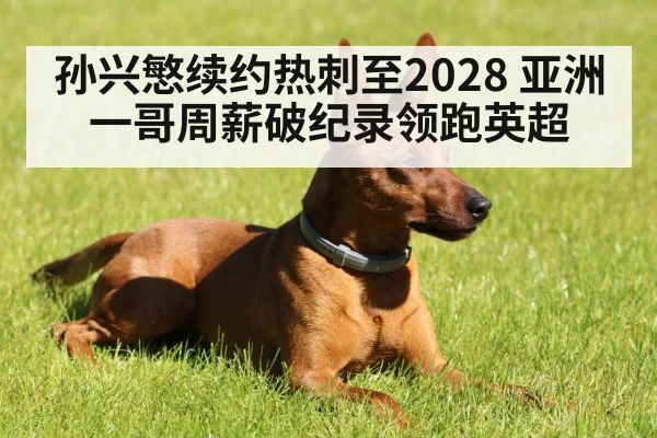 孙兴慜续约热刺至2028 亚洲一哥周薪破纪录领跑英超 - hth